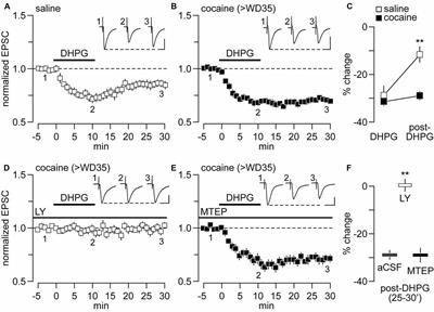 Emergence of Endocytosis-Dependent mGlu1 LTD at Nucleus Accumbens Synapses After Withdrawal From Cocaine Self-Administration